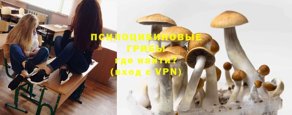 дживик Богданович