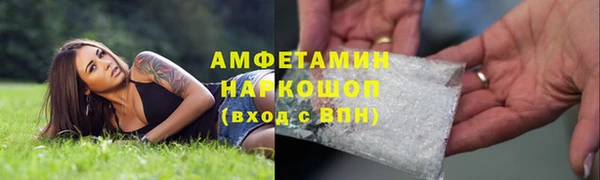 амф Бородино