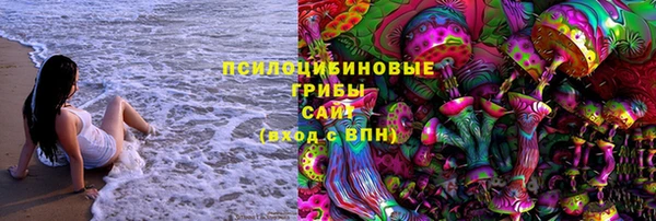 амф Бородино