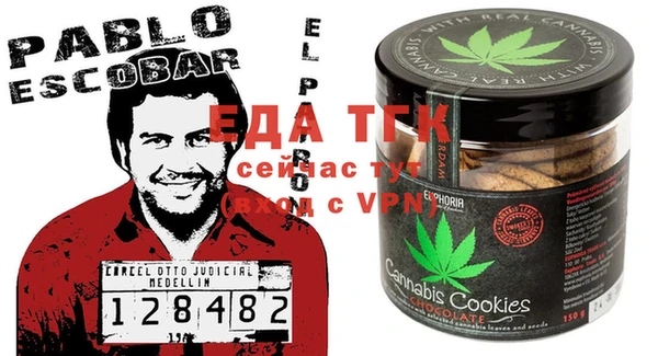 индика Бронницы