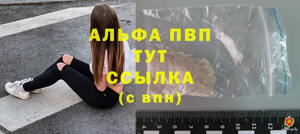 крисы Ростов