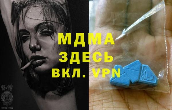 индика Бронницы