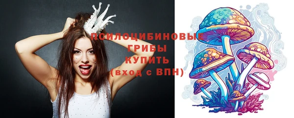 mix Рославль