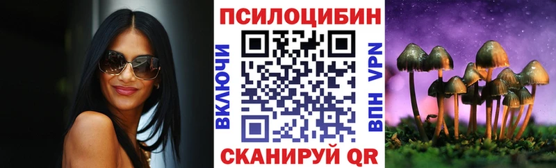 закладки  Далматово  Псилоцибиновые грибы Magic Shrooms 